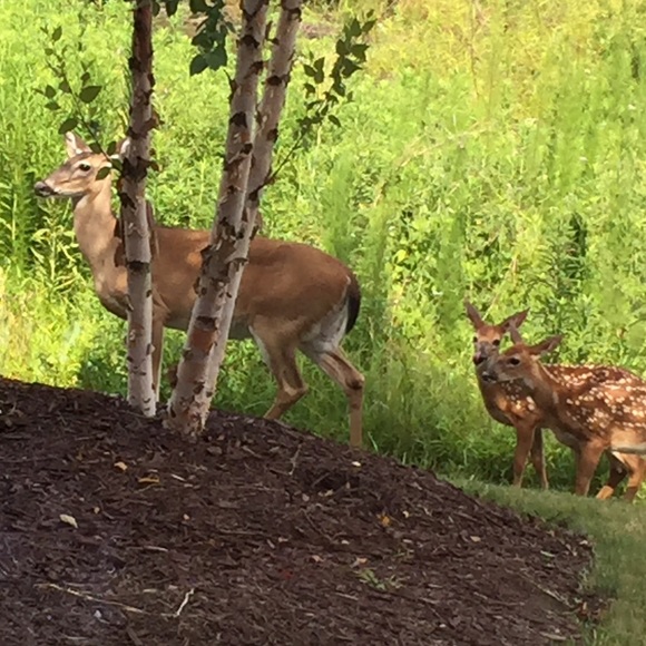 🌷 Poshmark Ambassador • Kathy - Picture 10 of 14